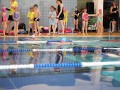 IMG_3615 (640x427)