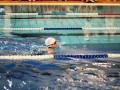 IMG_3760 (640x427)