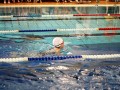 IMG_3761 (640x427)