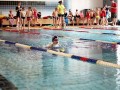 IMG_3762 (640x427)