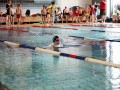 IMG_3763 (640x427)