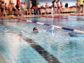 IMG_3765 (640x427)