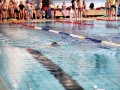 IMG_3766 (640x427)