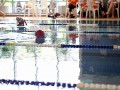 IMG_3767 (640x427)