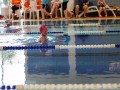 IMG_3768 (640x427)