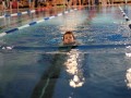IMG_3775 (640x427)