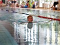 IMG_3780 (640x427)