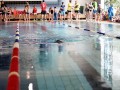 IMG_3783 (640x427)