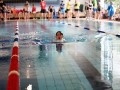 IMG_3784 (640x427)