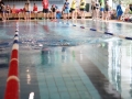 IMG_3785 (640x427)