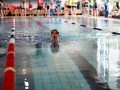 IMG_3786 (640x427)