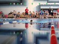IMG_3791 (640x427)