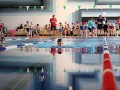 IMG_3792 (640x427)