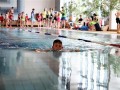 IMG_3796 (640x427)
