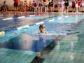 IMG_3799 (640x427)