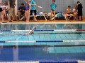 IMG_3803 (640x427)