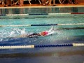 IMG_3804 (640x427)