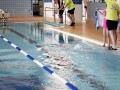 IMG_3810 (427x640)