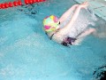 IMG_3811 (640x427)