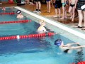 IMG_3822 (640x427)