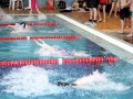 IMG_3824 (640x427)