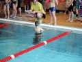 IMG_3834 (640x427)
