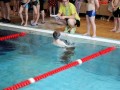 IMG_3835 (640x427)