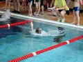 IMG_3836 (640x427)