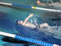 IMG_3840 (640x427)