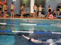 IMG_3845 (640x427)