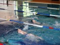 IMG_3848 (640x427)