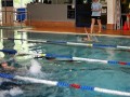 IMG_3849 (640x427)