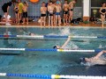 IMG_3853 (640x427)
