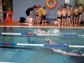 IMG_3854 (640x427)