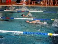 IMG_3855 (640x427)