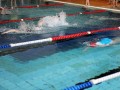IMG_3863 (640x427)