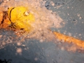 IMG_3398 (800x533)