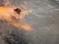 IMG_3404 (800x533)