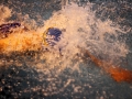 IMG_3417 (800x533)