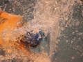 IMG_3418 (800x533)