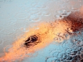 IMG_3435 (800x533)