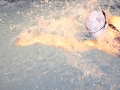 IMG_3476 (800x533)