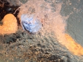 IMG_3480 (800x533)