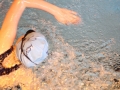 IMG_3481 (800x533)