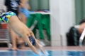 IMG_3148 (640x427)