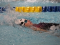 IMG_2607 (800x533)