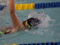 IMG_2630 (800x533)
