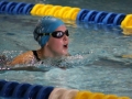 IMG_2719 (800x533)