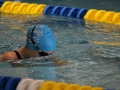 IMG_2720 (800x533)