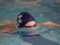 IMG_2735 (800x533)